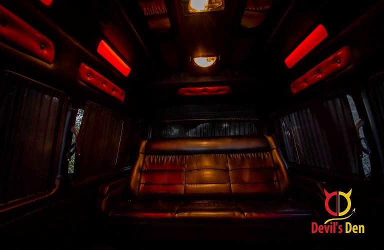 VIP Bus 5 VIP Bus Back seat - Full Service transportation service