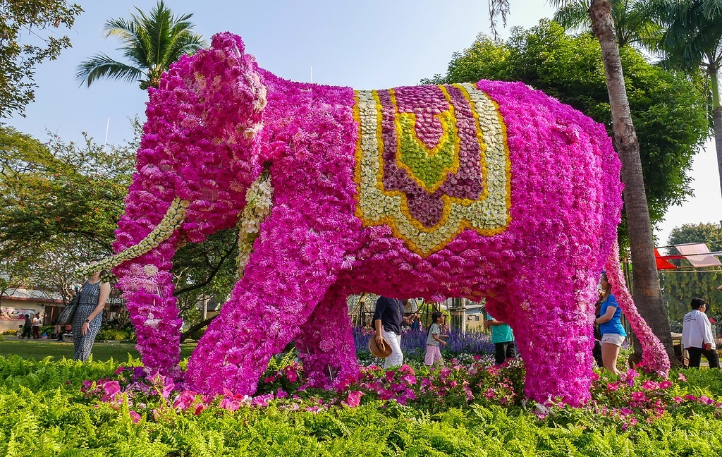 ChiangMai_Flower_Festival_Thailand_TAT-10-XL CHIANG MAI FLOWER FESTIVAL